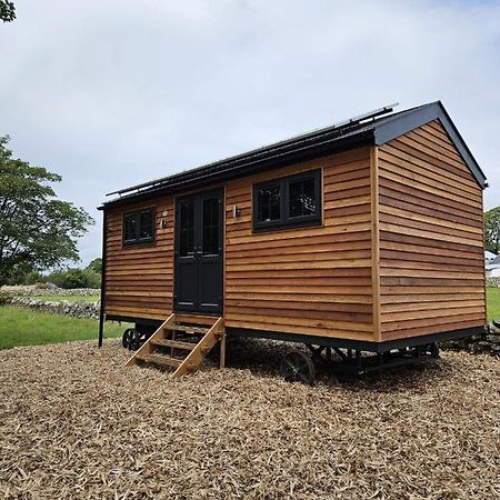Woodland Shepherds Hut - 'Saga' 卡纳芬 外观 照片