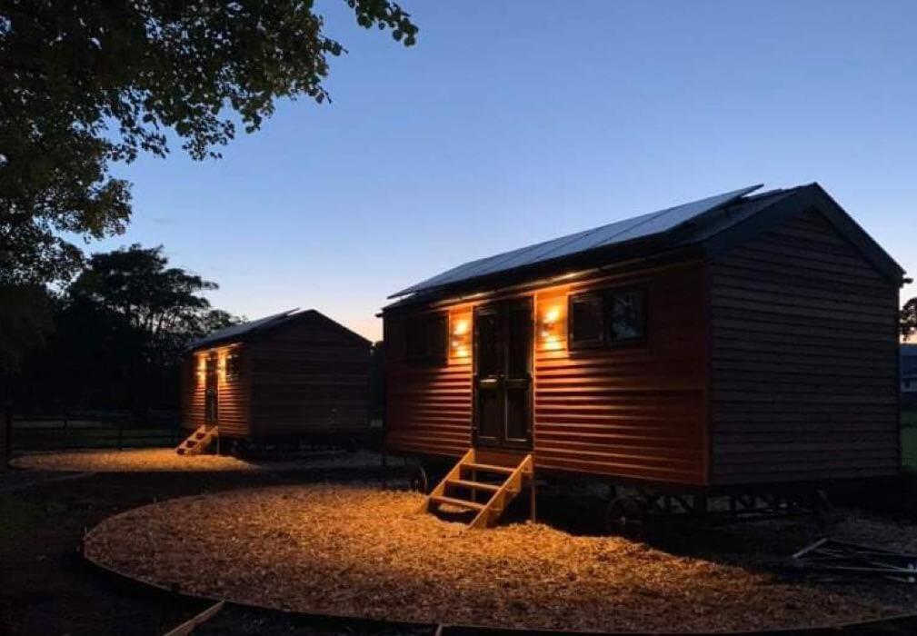 Woodland Shepherds Hut - 'Saga' 卡纳芬 外观 照片